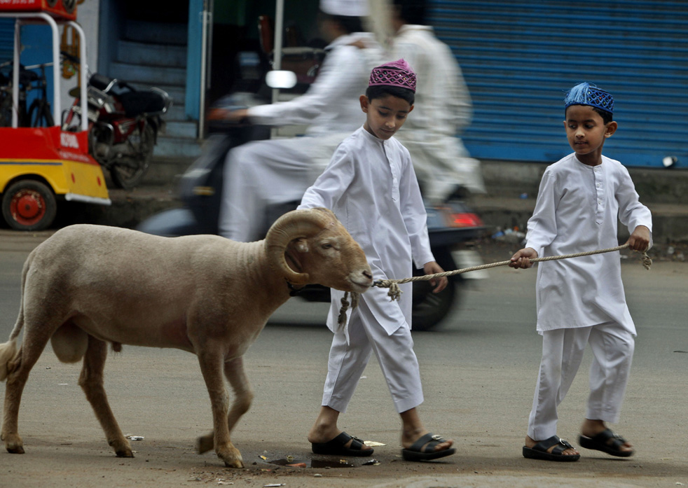 Indian Muslim boys take a goat for sacrifice after offering prayers on Eid al-Adha in Hyderabad, India, Wednesday, Nov. 17, 2010.