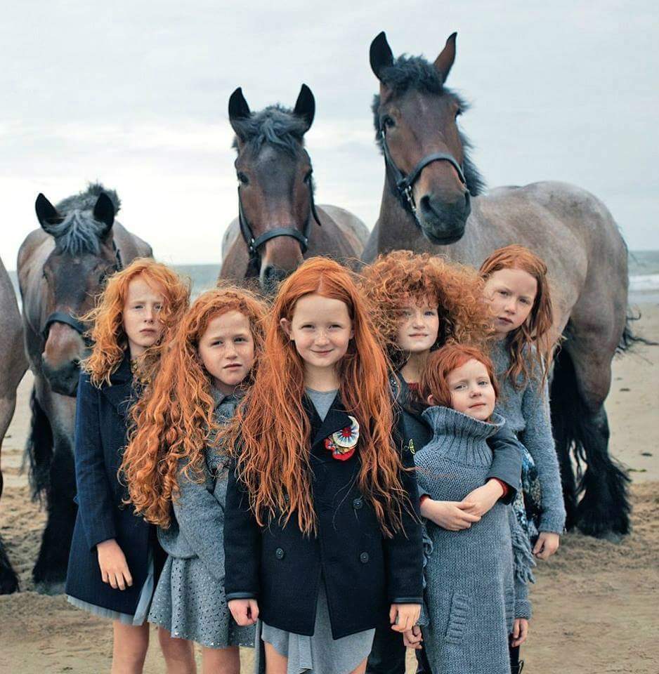 Blog - Irish Redheads and horses - reddit