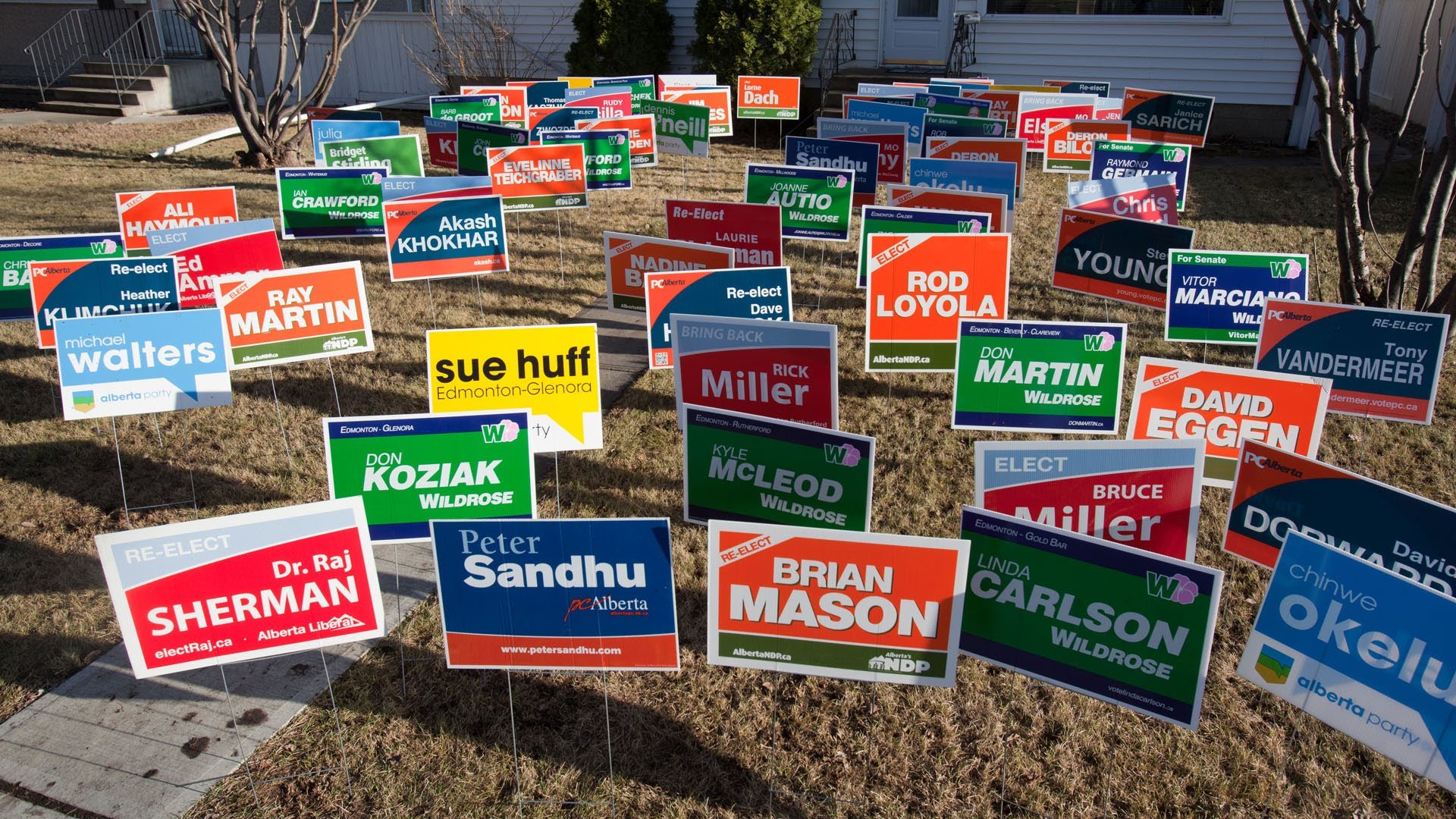 blog-lawn-signs-and-bumper-stickers